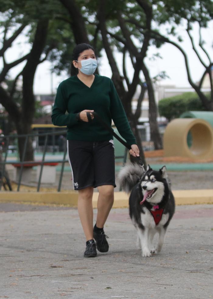 OLA DE FRIO EN GUAYAQU (6897988)