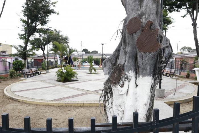 ARBOLES QUE HAN SIDO P (6970586)