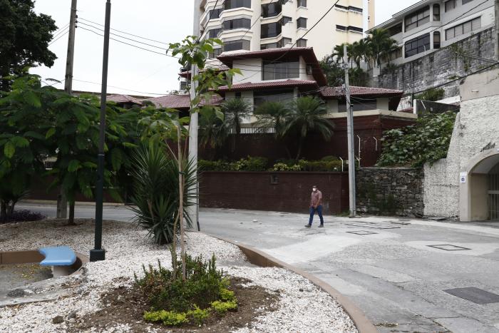 ARBOLES QUE HAN SIDO P (6967088)