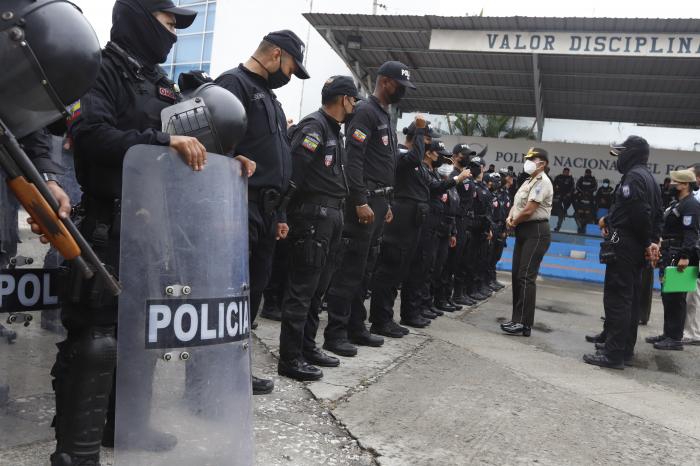 Agentes de lujo recibe (6988447)