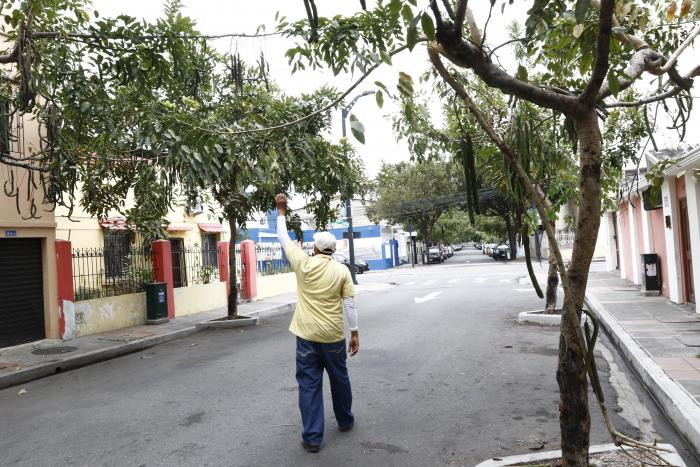 BARRIO ORELLANA (7053422)