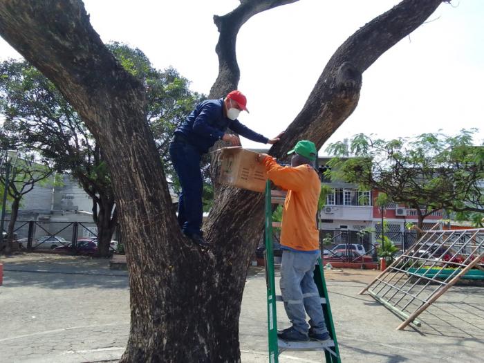 Liberacion de Mariquitas 6