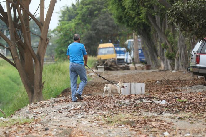 VECINOS CON PERROS.... (7176700)