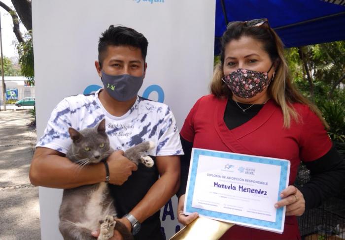 Feria de Adopcion de Gatos 4