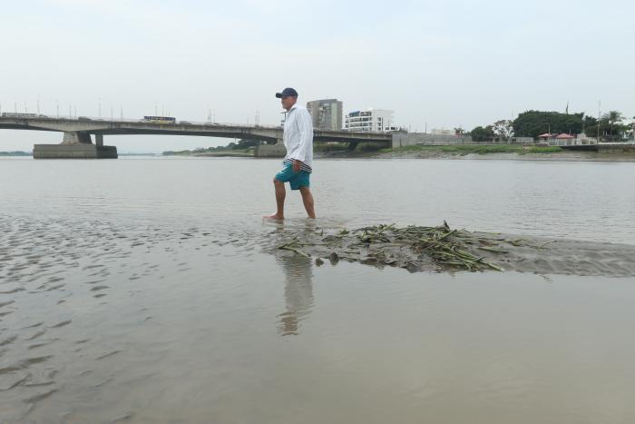 ISLOTE EL PALMAR_ MIGU (7470054)