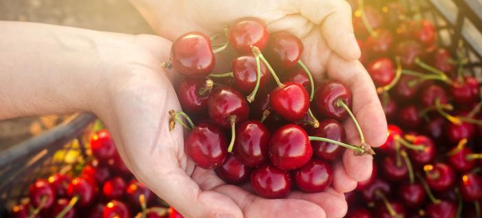 Las cerezas son ricas en vitaminas y mineralesC