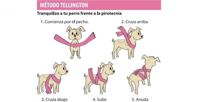 Vendaje tranquilizante para perros