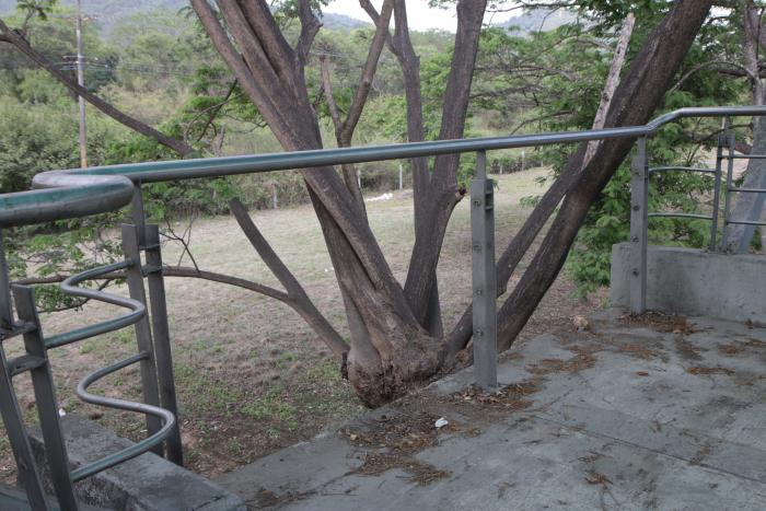 PASO PEATONAL EN MAL E (7559493)