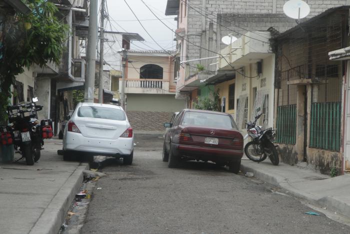 Los Tulipanes