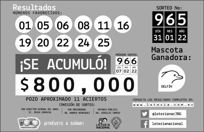 loto 31 e