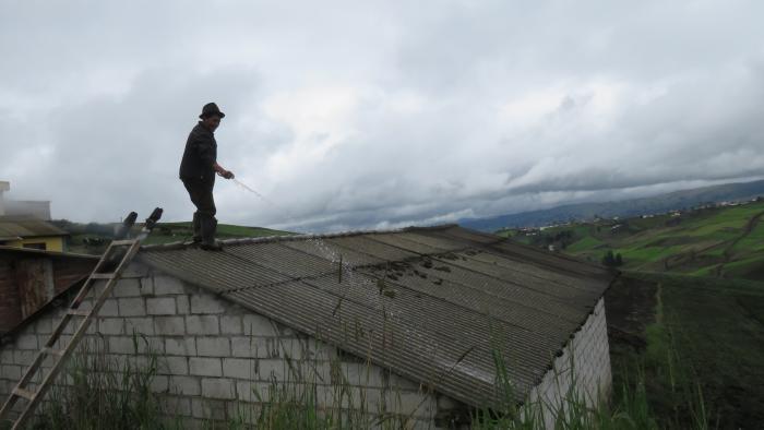 CENIZA CHIMBORAZO