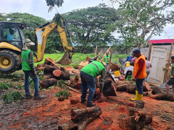 Retiran Arbol Caido en Chongon 3