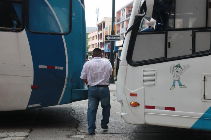 buses (7714143)