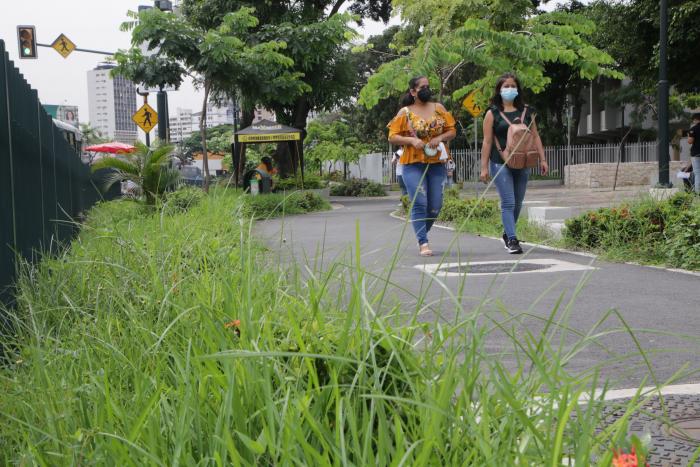 CICLOVIA UNIVERSIDAD (7743407)