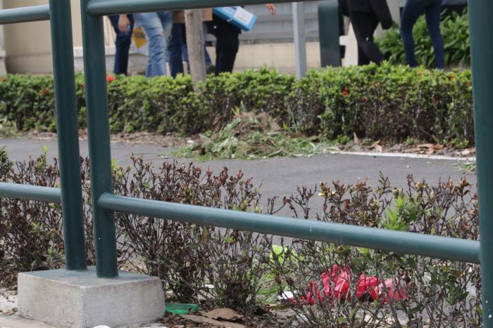CICLOVIA UNIVERSIDAD (7743404)