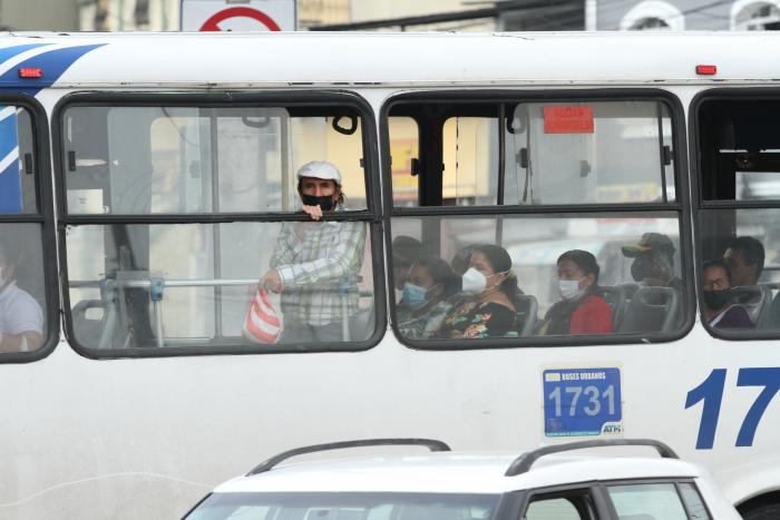 buses 3