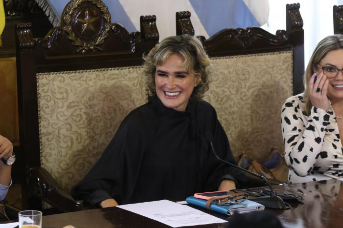 concejo cantonal