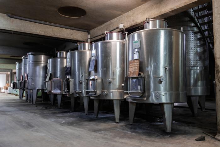Pisco
