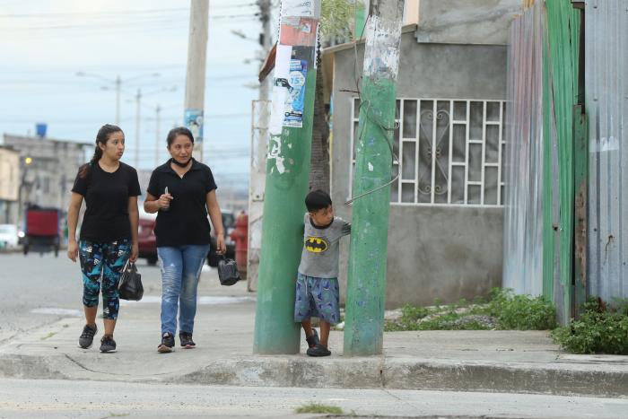 DOBLE POSTES EN VERGEL (8070573)