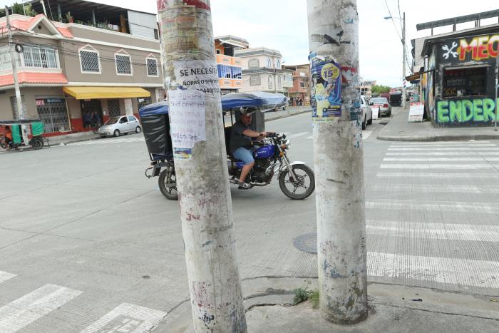 DOBLE POSTES EN VERGEL (8070552)