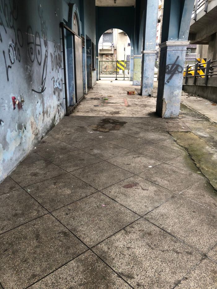 paso peatonal Goyena
