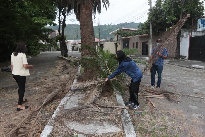 Foto de Sistema Granas (8143123)