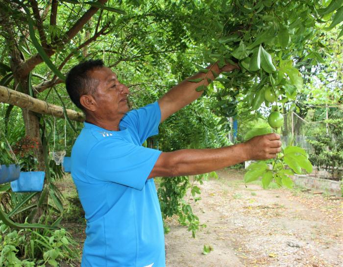 Agricultor Santa Elena