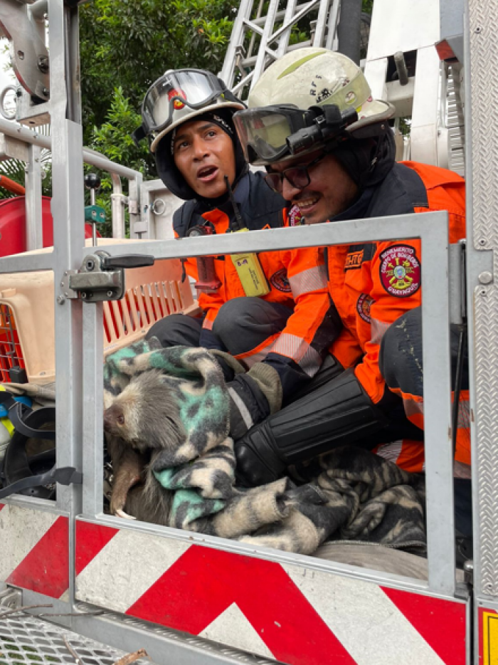 Rescate
