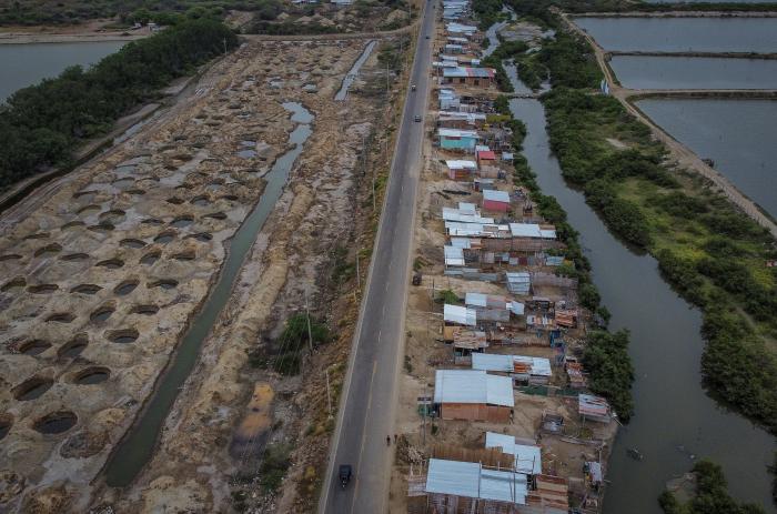 Migrantes