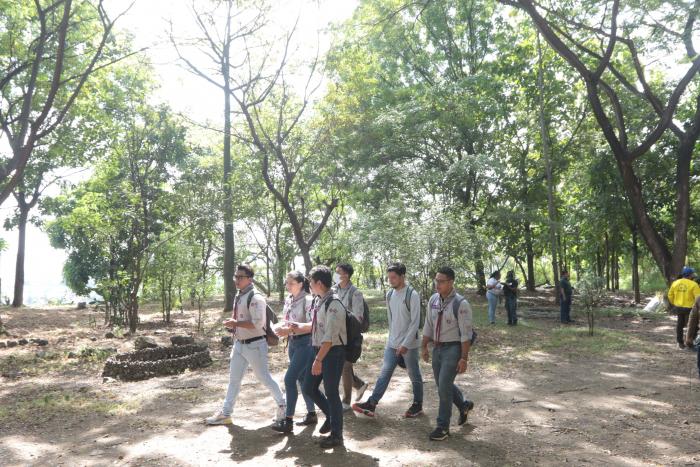 bosque 2