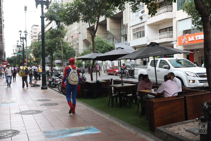 casco comercial 4