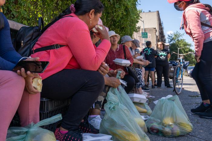 Estados Unidos_Migrantes latinas_Derechos laborales_Plataformas digitales