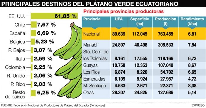 ESTADÍSTICA DE PLÁTANO