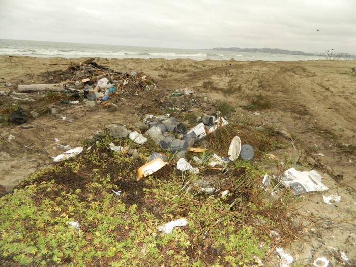 Pesca de basura
