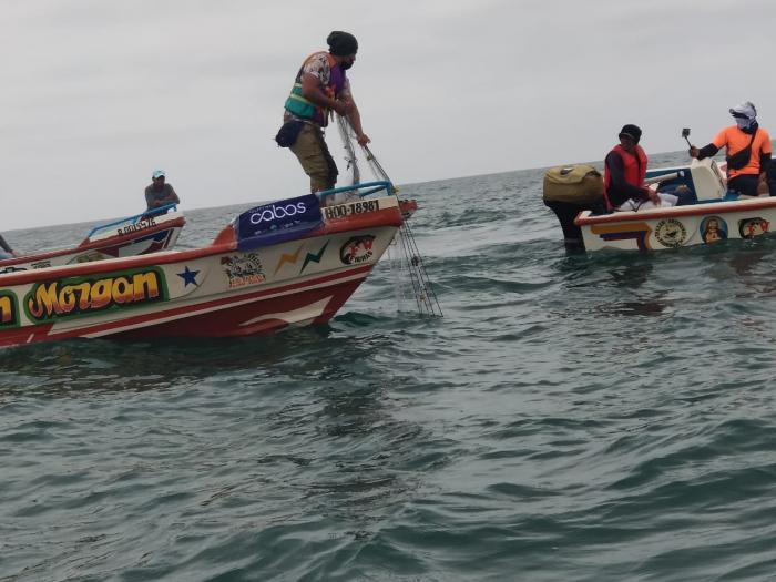 La Nueva Pesca - Mar 2