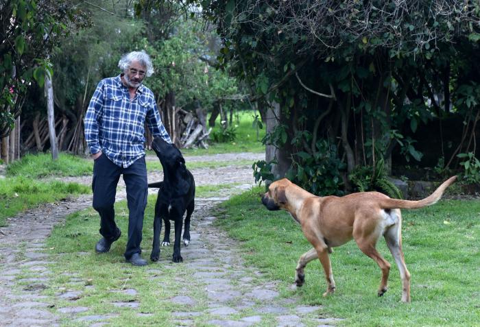 En compañía de sus mascotas
