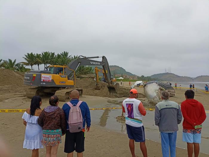 Turistas y nativos sorprendidos por el hecho