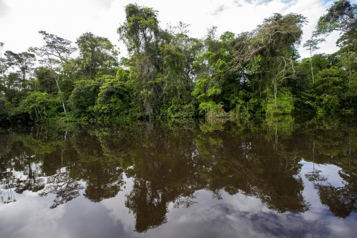 Vista de las orillas de la Laguna Grande de Cuyabeno, el 28 de mayo de 2022 en el Parque Nacional Yasuní (Ecuador).