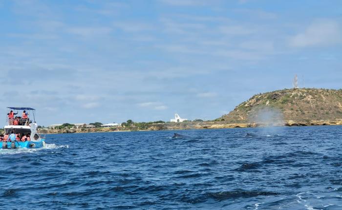 ballenas Salinas