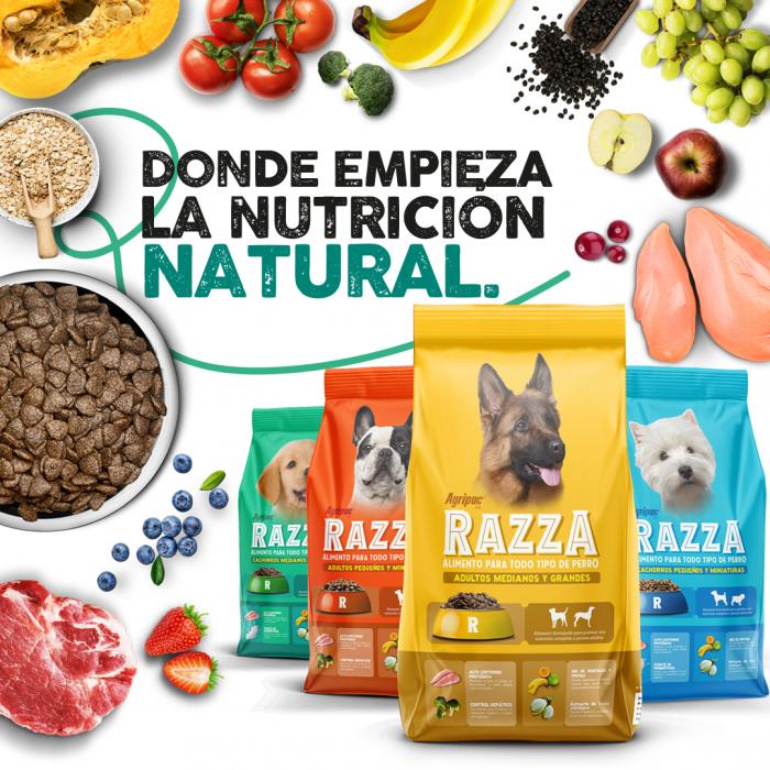 Razza_PortadaREDES_PERROS