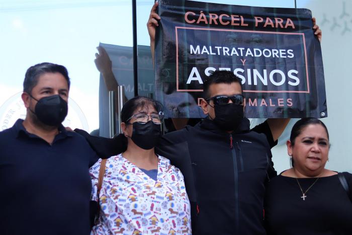 Protesta perro
