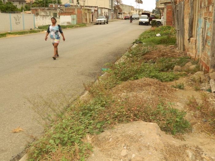 CALLES DE PLAYAS...NES (9059666)