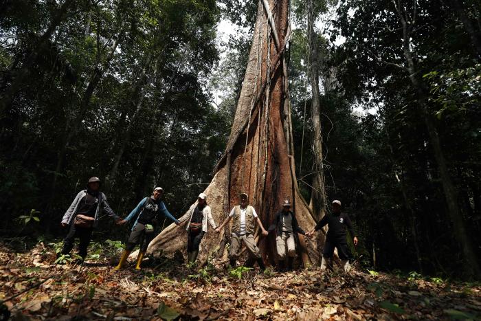 Mundo_Amazonía_Perú_Ambiente