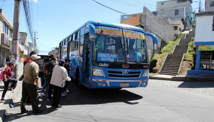 una sola línea en lp