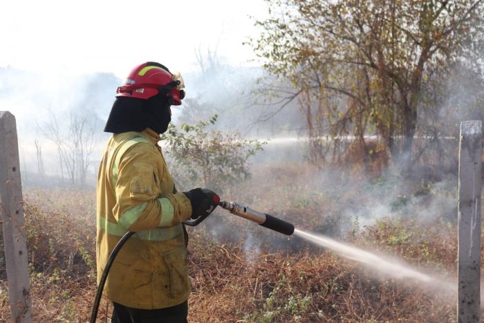 incendio forestal