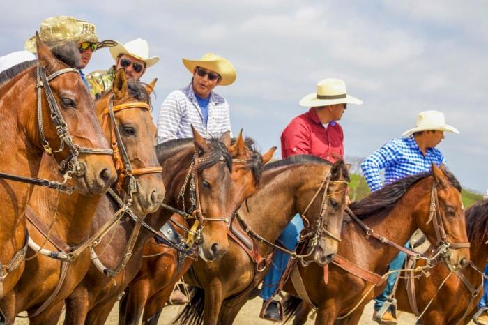 los caballos llegan de diferentes comunas
