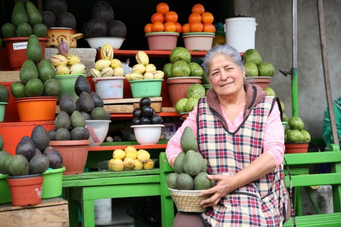 tierra de aguacates