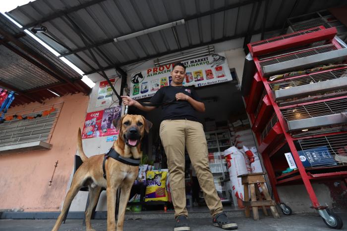 PERRO BUSETERO ... FD_ (9239800)