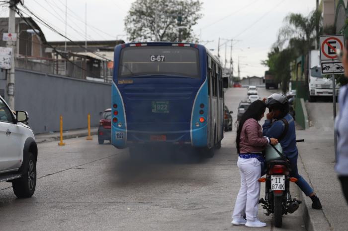 humo buses