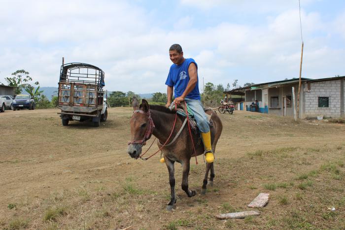 Intercultural_Mundo rural_Caballos